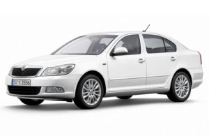 Аренда Skoda Octavia в Калининграде